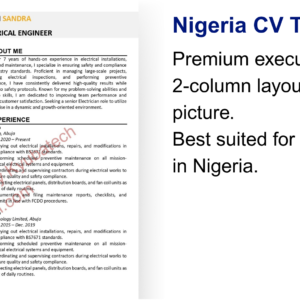 Nigeria CV Template 3